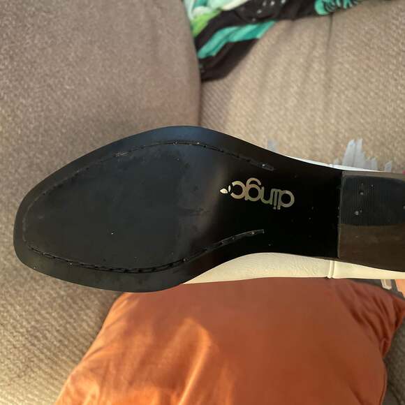 dingo - Picture 3 of 5